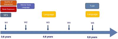 Differential Effects of the Home Language and Literacy Environment on Child Language and Theory of Mind and Their Relation to Socioeconomic Background